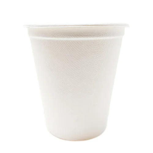 Compostable cups 8oz to enjoy your favorite beverages