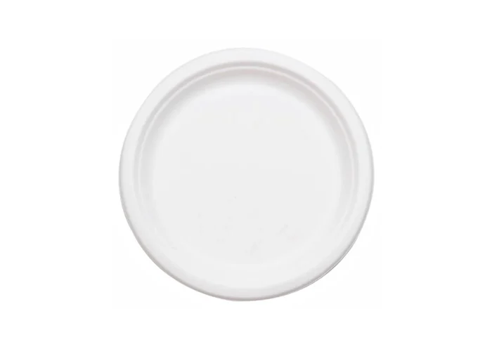 Plain white eco friendly plates