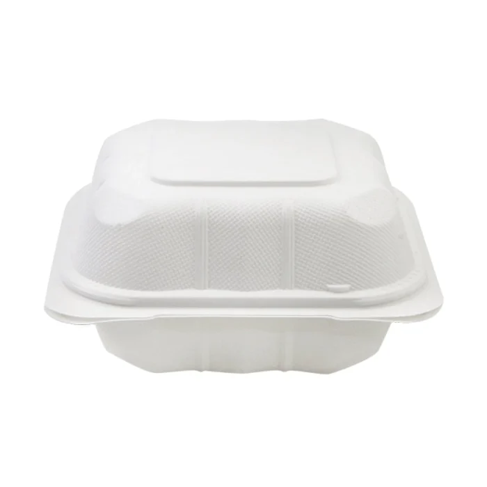 Sturdy disposable hinged container 5x5x3 for takeout food