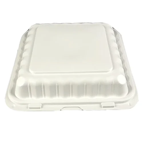 Plastic hinged container 9x9x3 for easy opening and closing