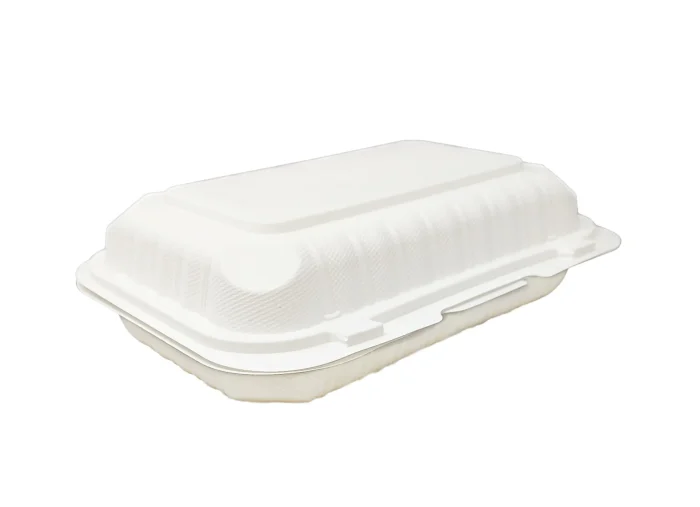 BPA free plastic hinged containers 9x6x3
