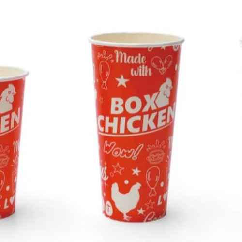 Various sizes of paper cups arranged in a row