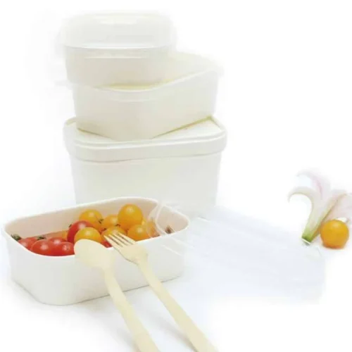 Rectangular paper containers for food storage
