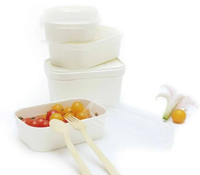 Rectangular paper containers for food storage