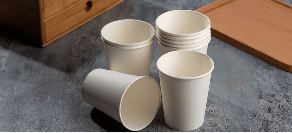 QNP Supplies serves the hospitality and food industries, as well as industrial, small, and medium businesses. We are not only the best place for compostable cups but also the go-to spot for all your supply needs!