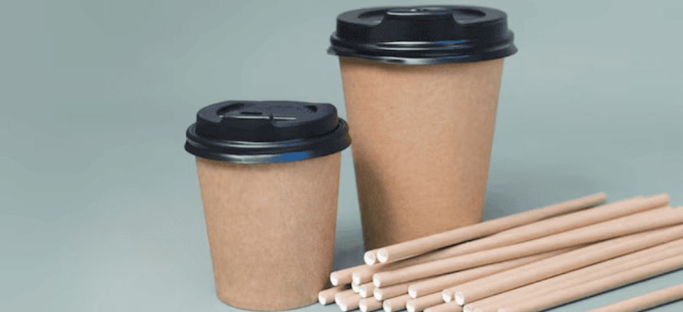 A Full Guide to Biodegradable vs Compostable Cups: What’s Better for Planet Earth?