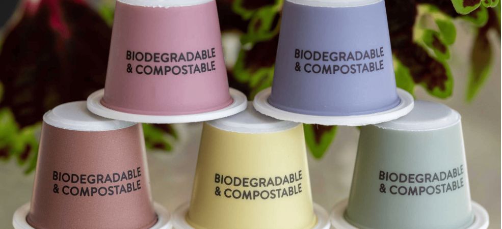 The Complete Cheat Sheet on Buying Compostable Cups Wholesale
