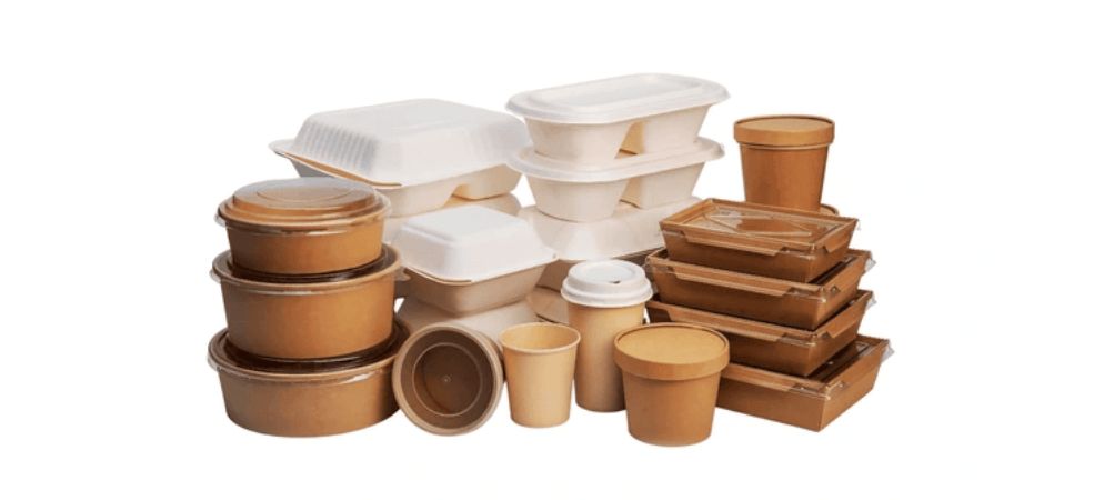 Disposable Food Containers for Different Cuisines: How to Choose the Best Option?