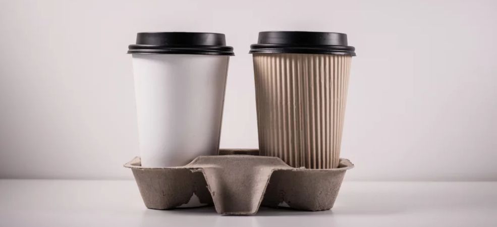 Compostable Cups vs. Plastic: The Sustainable Choice for Your Food Business