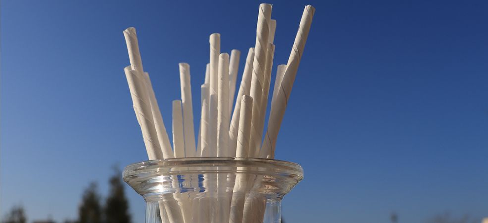 Purchase paper straws in bulk and secure these necessary supplies on a budget. Contact QNP Supplies for the best supplies and food containers in Canada!