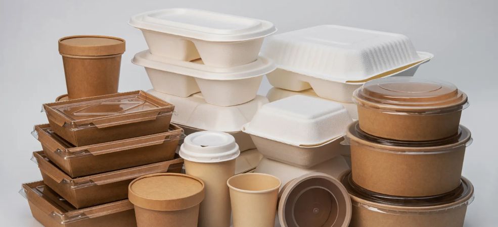 What Are The Best Eco-Friendly Takeout Containers for Restaurants?