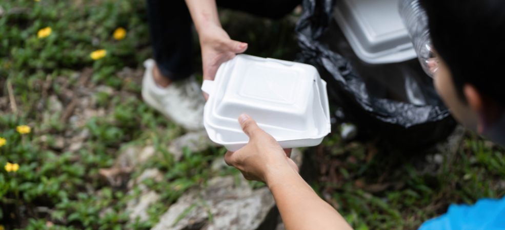 When shopping for compostable takeout containers in Canada, prioritize those made from durable materials like sugarcane fibre, PLA, or bamboo.